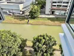 Blk 38A The River Vista @ Kallang (Kallang/Whampoa), HDB 4 Rooms #577837831